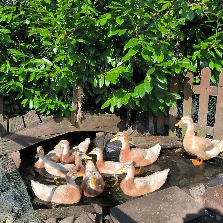 Mohnkopf - Fuer 2 Bis 3 Personen Mit Terrasse *