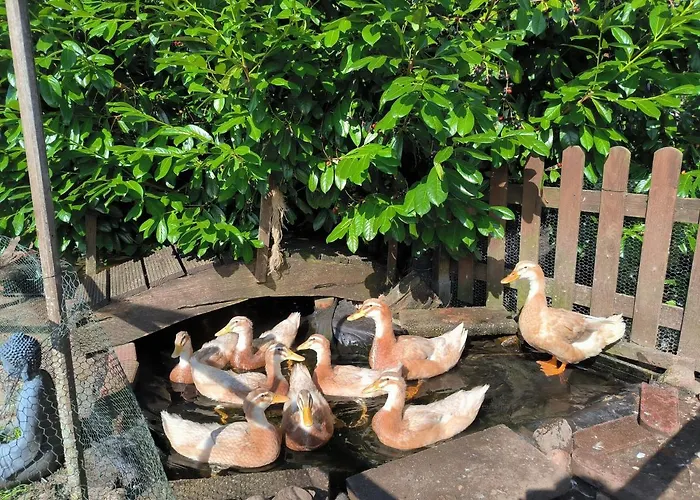 Mohnkopf - Fuer 2 Bis 3 Personen Mit Terrasse *